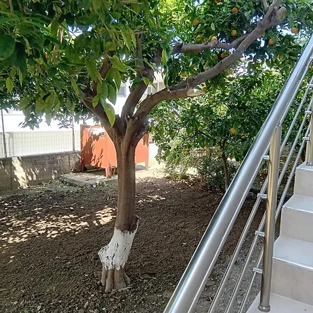 Dioni Of Rhodes 公寓 Rhodes City